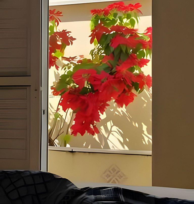 Casa Aconchegante próxima ao Santuário